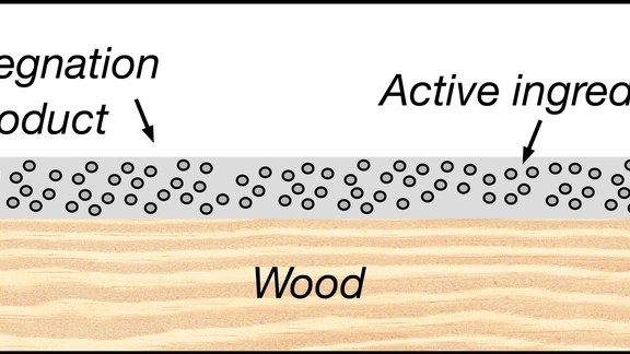 llustration shows eggs and larvae in contact with the insecticide. 