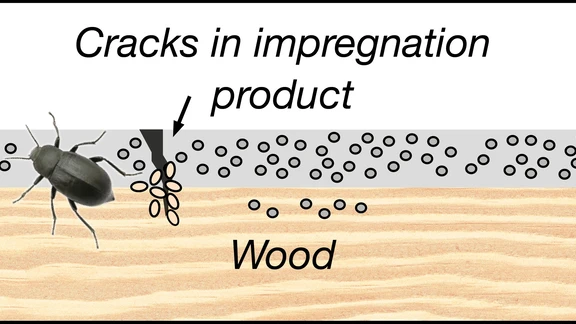 Illustration shows film degradation over time.