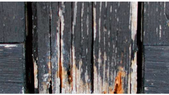 Decayed wood must be replaced