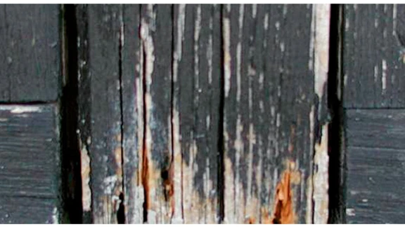 Decayed wood must be replaced