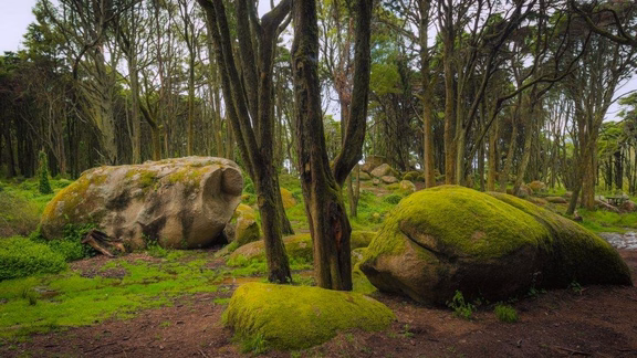nature