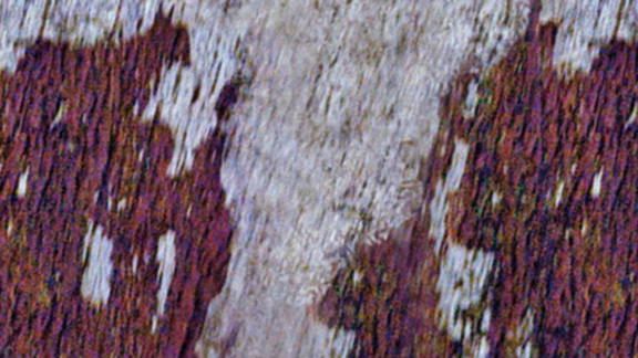 Example of peeling wood protection