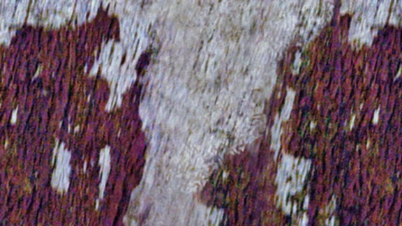 Example of peeling wood protection