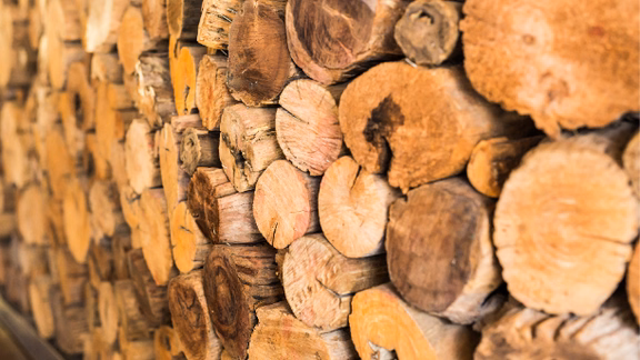 wood