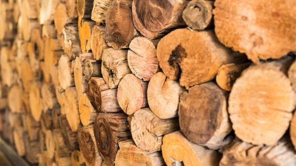 wood