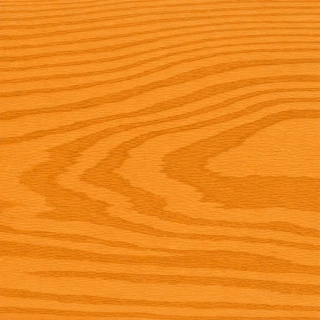 7801 Brazil Pine